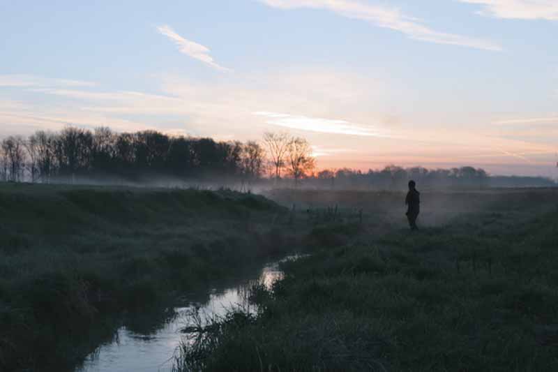 A solitary figure stands in a misty field at dusk, with a small stream in the foreground and a line of trees in the distance.