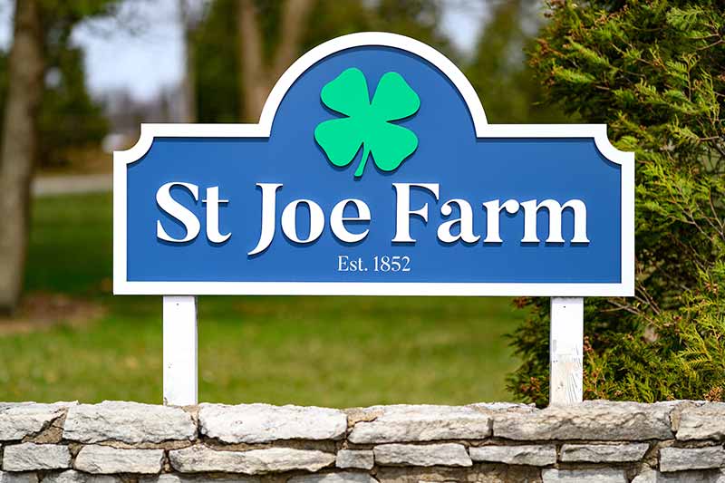 A blue sign with a green shamrock and white text reading &lsquo;St Joe Farm Est. 1852&rsquo; is mounted on a stone wall.