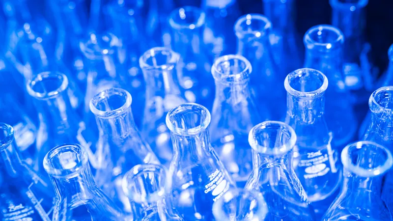 Rows of clear glass Erlenmeyer flasks with white markings are illuminated by a vibrant blue light.