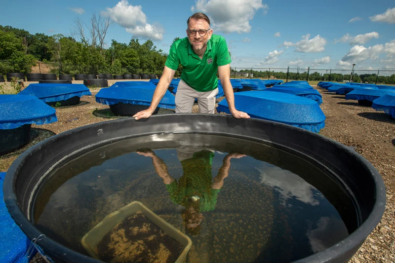 A man in a green Notre Dame polo leans over a large black water tank, his reflection visible in the still water. Behind him, rows of similar tanks covered with blue mesh sit in an outdoor field under a bright blue sky.