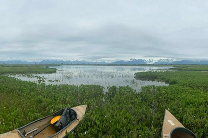 Two canoes rest in lush green marshland facing a calm lake. Distant snow-capped mountains are visible under a cloudy sky.