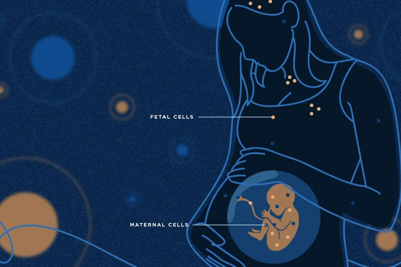 An illustration depicts a pregnant woman on a dark blue background. Orange dots, labeled Fetal Cells, are within the fetus and the mother's body. Blue dots, labeled Maternal Cells, are also shown in the mother's body.