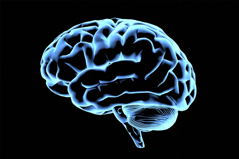 A blue glowing human brain is rendered in profile against a black background, clearly showing the cerebrum and cerebellum.
