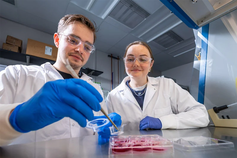 Two researchers in white lab coats and safety glasses work in a lab. A man in blue gloves uses a tool to transfer liquid into a small container near a multi-well plate with reddish liquid. A woman observes him, smiling softly.