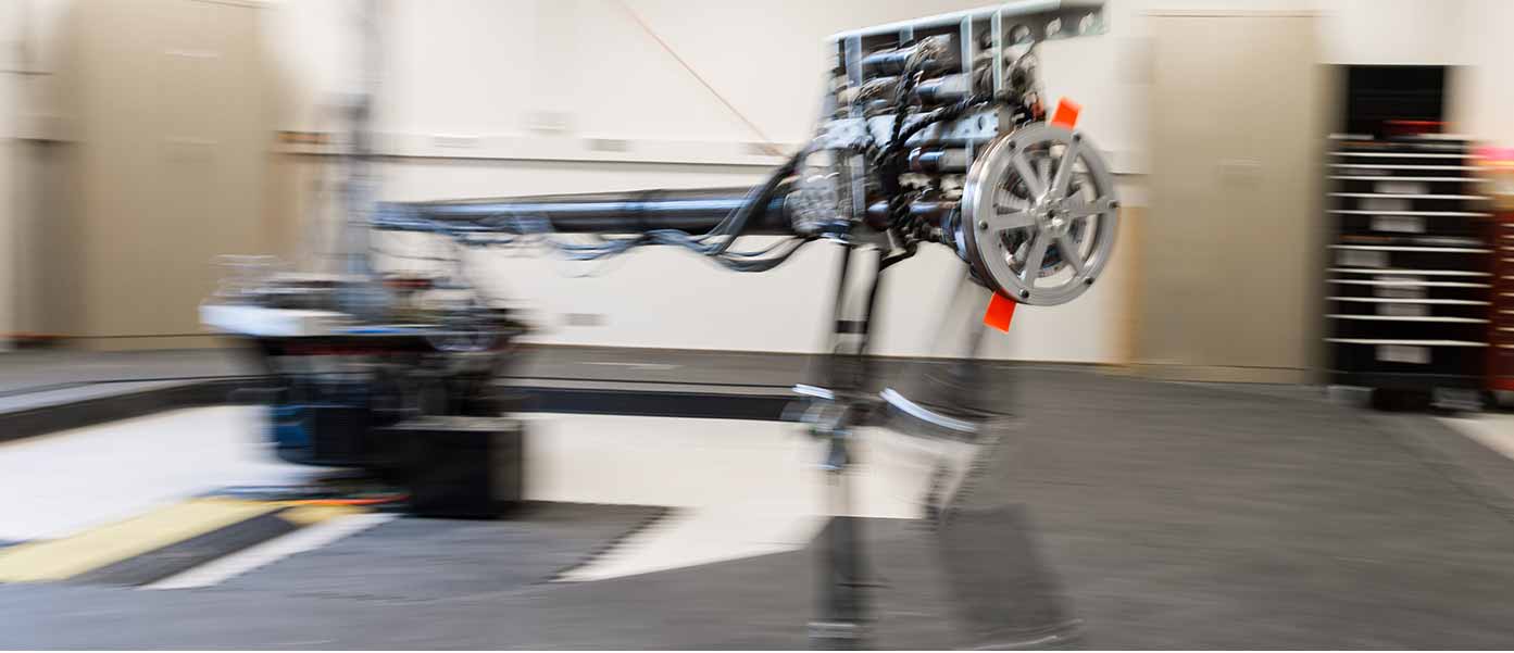 A biped robot used for spinal cord research in Professor Schmiedeler&rsquo;s laboratory