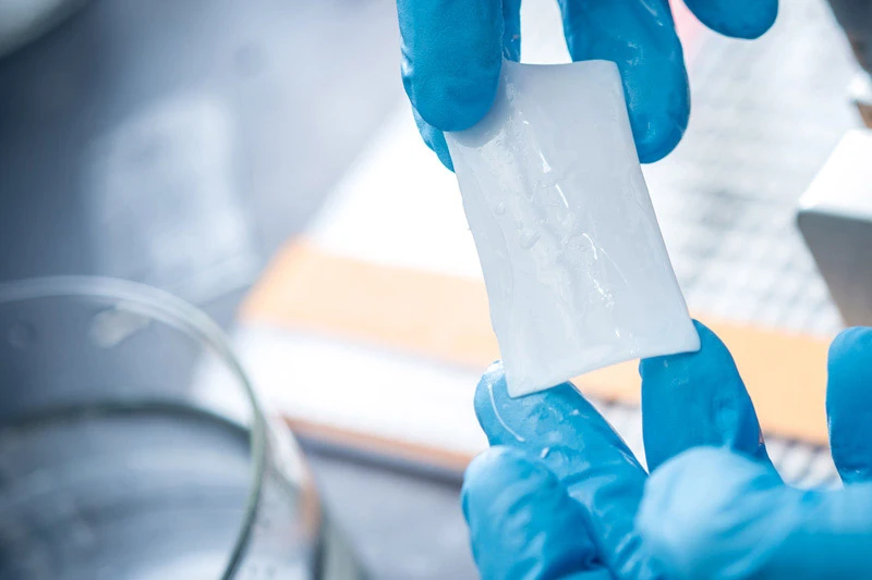 Hands in blue gloves carefully hold a rectangular piece of wet, translucent white material, possibly a hydrogel, in a lab setting.