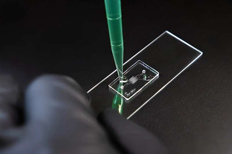 Gloved hand uses a green pipette to drop liquid onto a clear microfluidic chip on a microscope slide.